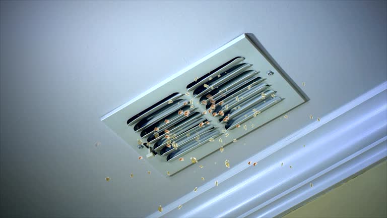 Best Affordable Air Duct Cleaning  in Blue Ridge, AL