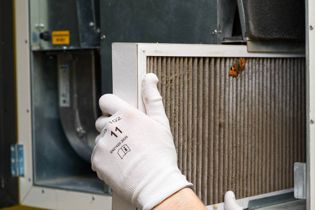 Best Affordable Duct Cleaning Services  in Blue Ridge, AL