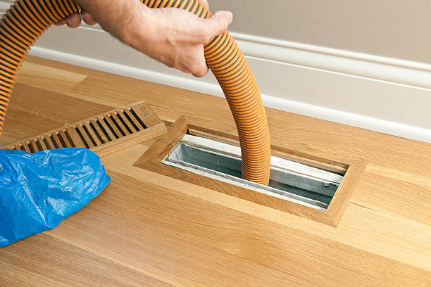 Best Emergency Air Duct Cleaning  in Blue Ridge, AL