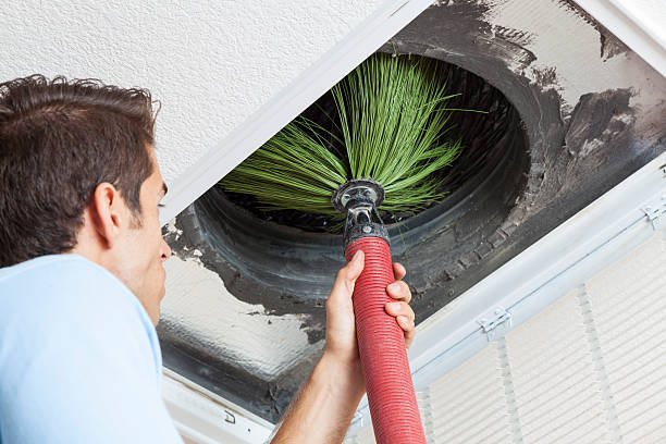 Best Emergency Air Duct Cleaning  in Blue Ridge, AL