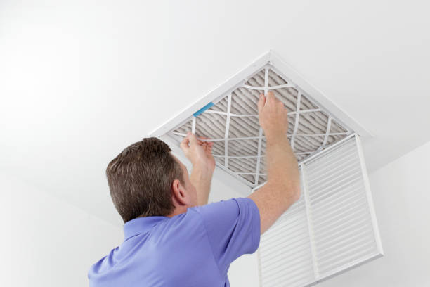 Best Local Air Duct Cleaning Services  in Blue Ridge, AL